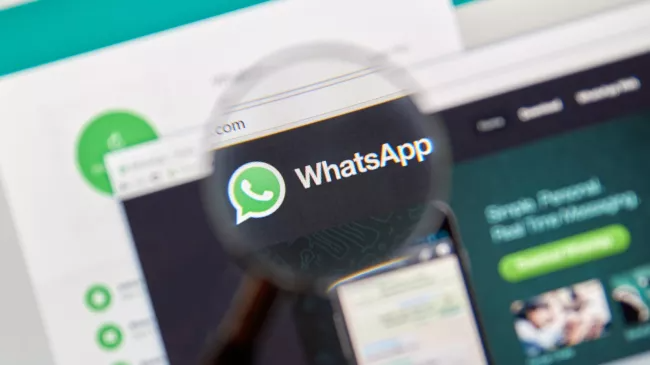 WhatsApp выходит на территорию Zoom и Skype. Видеоконференции на 50 человек на компьютере